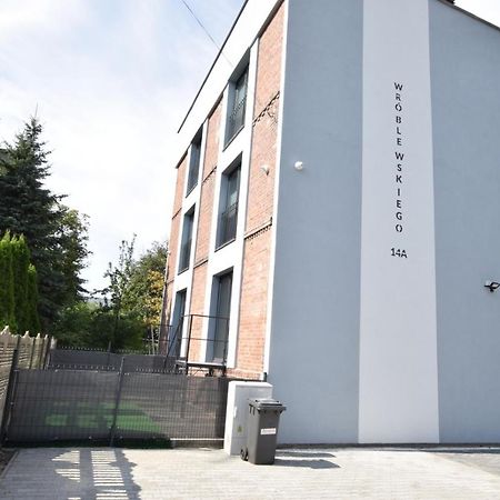 Katowice Chorzow Park Stadion Slaski Apartmenty Siemianowice Śląskie Eksteriør billede