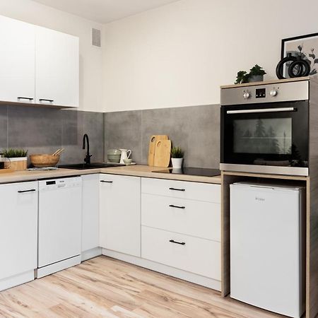 Katowice Chorzow Park Stadion Slaski Apartmenty Siemianowice Śląskie Eksteriør billede